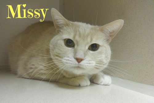 . Missy .
