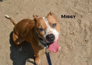 . Missy .