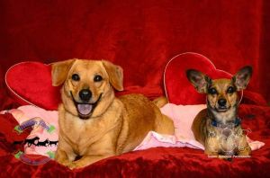 . Putty and Lily .