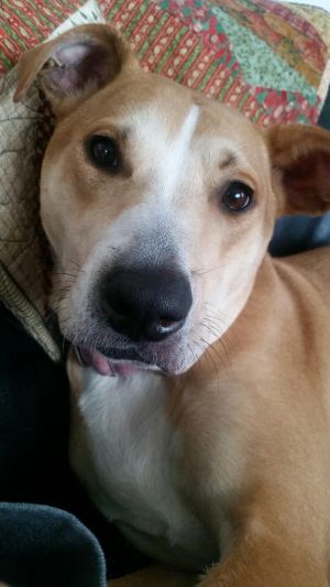 Photo of Mocha