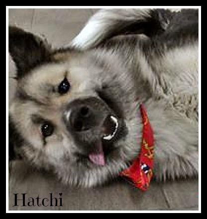 . Atchi .
