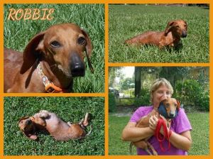 . Robbie (15-55) .