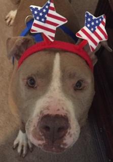 . Brody .