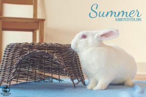 . Summer .