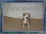 MRS BEASLEY