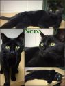Nero