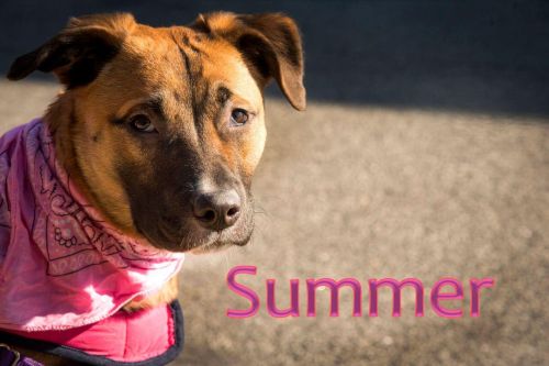 . Summer .