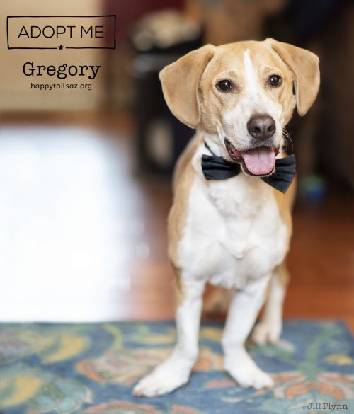 . Gregory .