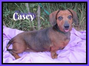 . Casey .
