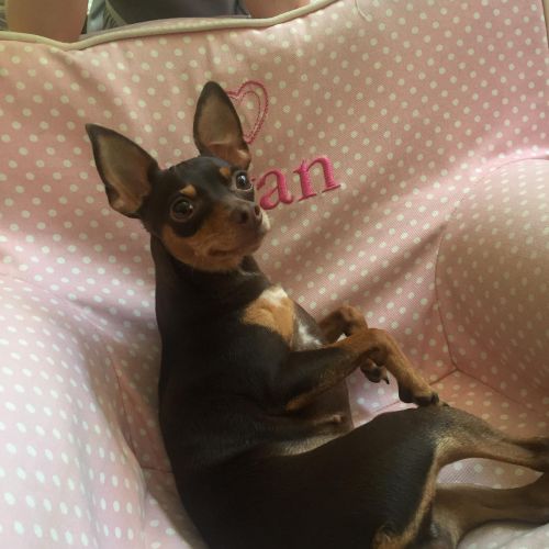 . Lola .