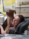 . Diamond **NEEDS FOSTER!** .