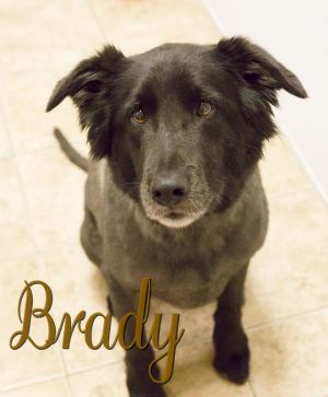 . Brady .
