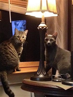 . Chelsea and Scooter .