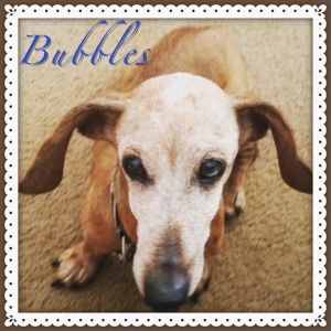 . Bubbles .