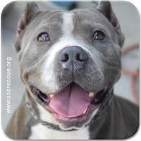 Photo of Mugsy