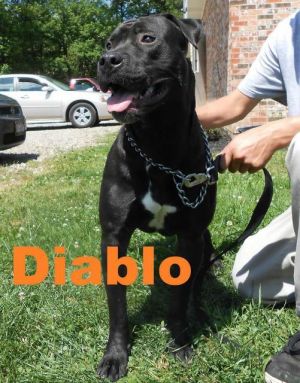 . Diablo .