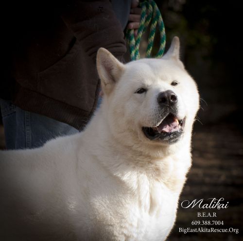 . Malikai aka Smiley .