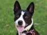 Lucy - LOVES KIDS!