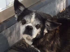 . Buggsy in KS .