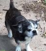 . Buggsy in KS .
