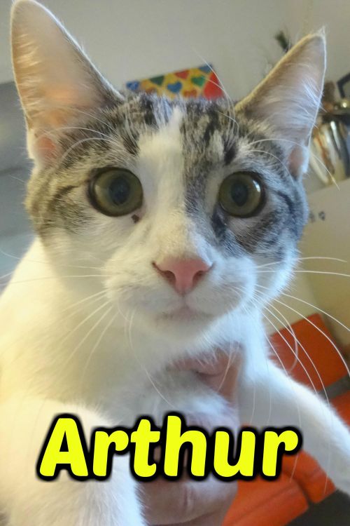 . Arthur .