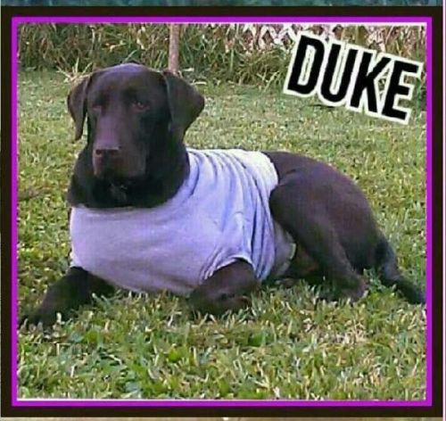. Duke .