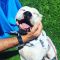 . Sasha---Dog and Cat Friendly! .