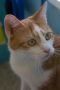 . Momma@All Creatures Animal Hospital .
