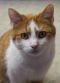 . Momma@All Creatures Animal Hospital .