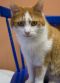 . Momma@All Creatures Animal Hospital .