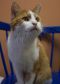 . Momma@All Creatures Animal Hospital .