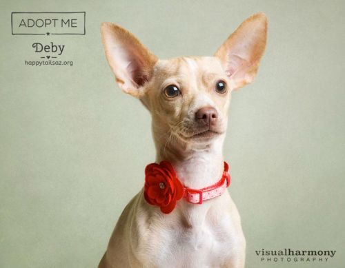 . Deby .