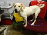 Nola HOLD FOR RESCUE