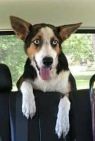 Max *Here In NH*
