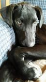 Whitney *Here In NH*
