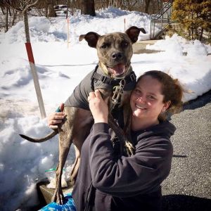 . Odie - Take My Lead Dog .