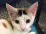 Kate - MEET ME @ PETCO!