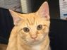 Jessa - MEET ME @ PETCO!