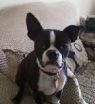 . Kahley in CO .