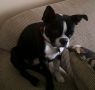 . Kahley in CO .