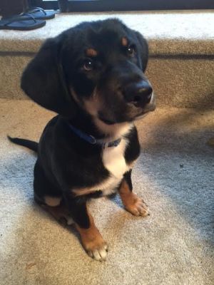 . Foster--Application Pending .
