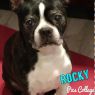 . Rocky in MO .