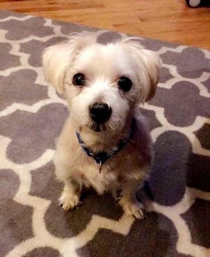 . Rusty--Application Pending! .