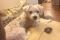 . Rusty--Application Pending! .