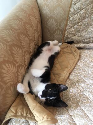 . Tina .