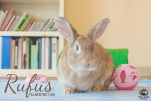. Rufus .