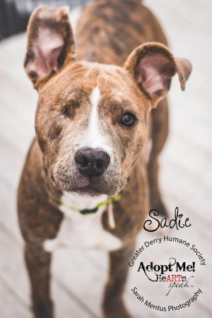 . Sadie .