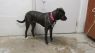 . URGENT-Ella .
