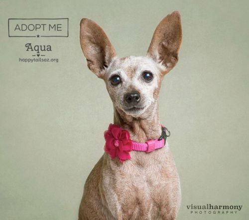 . Aqua .
