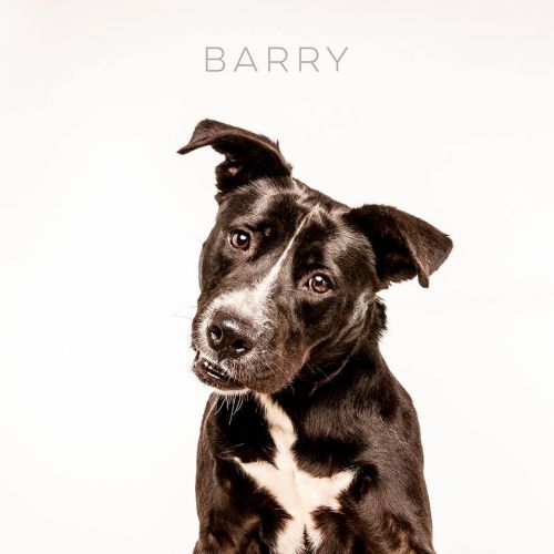 . Barry .